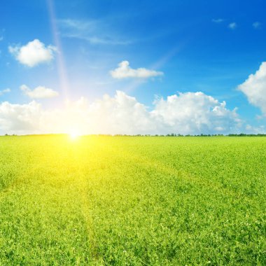 yeşil bir alanın üzerinde gündoğumu.