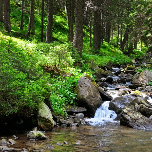 Paisaje con montañas, bosque y un río en frente. — Foto de Stock