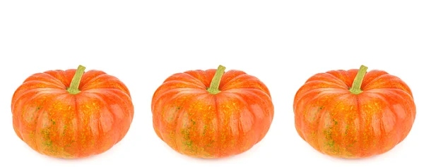 Ripe pumpkins isolated on white background. Panoramic collage. W — 스톡 사진