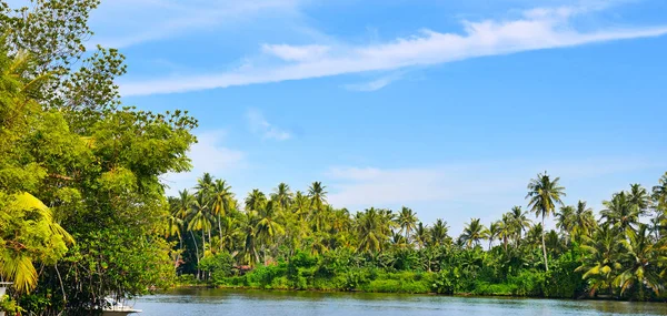 Lago, coqueiros e manguezais. Sri Lanka. Ampla foto  . — Fotografia de Stock