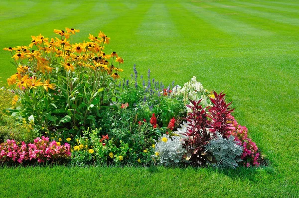 Hermoso jardín de paisaje con un césped recién cortado y flores — Foto de Stock