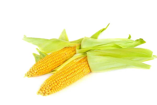 Świeże uszy słodkiej kukurydzy na białym tle. — Zdjęcie stockowe
