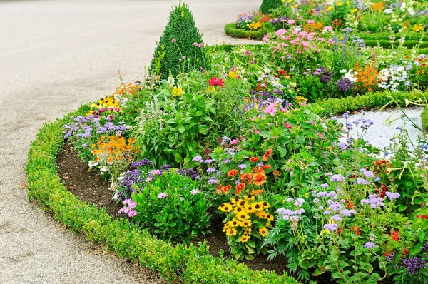 Lush flower beds in the summer garden. A bright sunny day. Stock Image