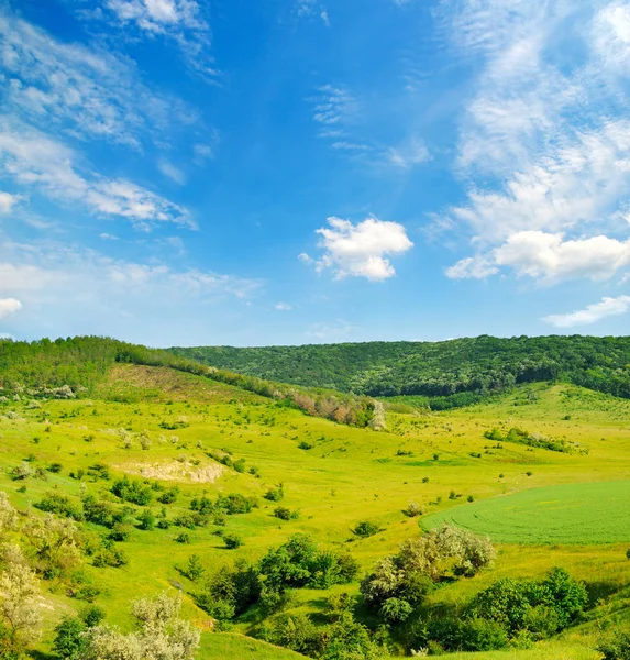 Heuvelgroene velden met bomen en blauwe lucht. — Stockfoto