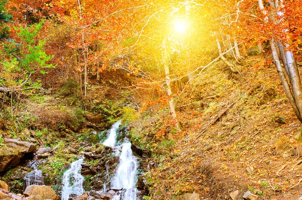 Beautiful autumn landscape and sunrise. — Stock Photo, Image