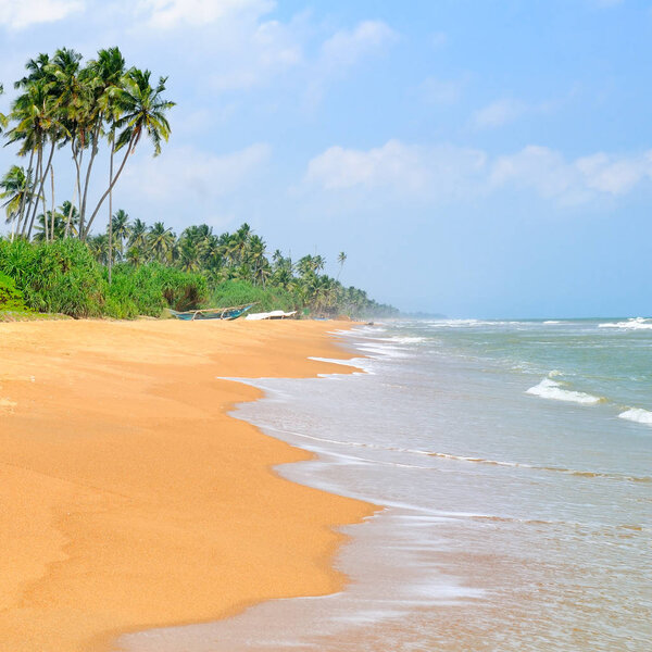 Tropical island with a sandy beach and beautiful palm trees.