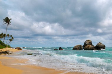 Kümülüs yağmur bulutlarıyla kumsal ve gökyüzü.