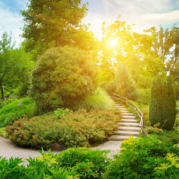 Park s krásnými stromy, keři a dekorativním schodištěm. — Stock fotografie