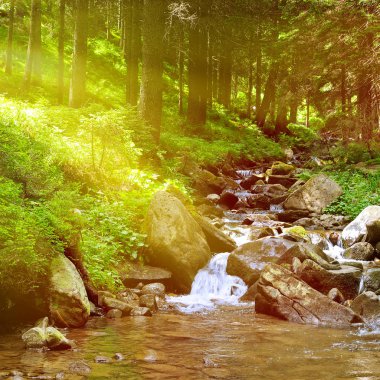 Dağ nehri yeşil ormandan akıyor..