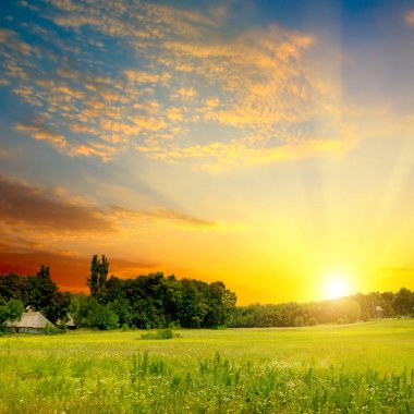 Green field, sunrise and blue sky.