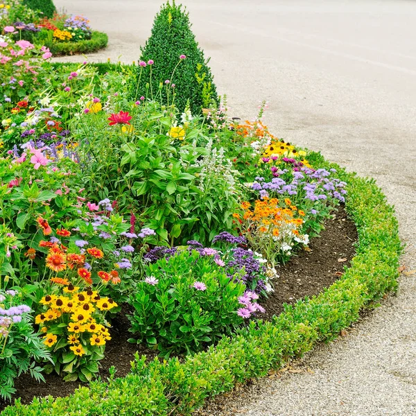 Blumenbeete und Wege zum Spazierengehen im Stadtpark. — Stockfoto