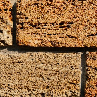 Sarı kabuklu kayadan tuğla duvar. Shellstone dokusunun yakın çekim.