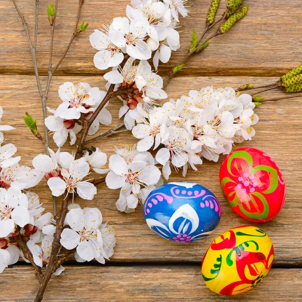 Uova di Pasqua e un rametto di albicocca in fiore sul backgrou di legno — Foto Stock