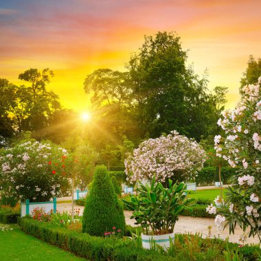 Yazın akşamları güzel şehir parkı.