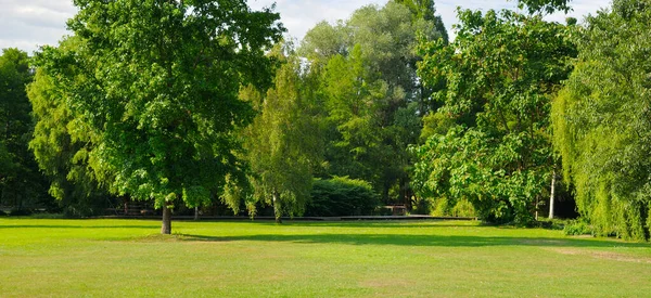 Sommerpark mit weitläufigen Rasenflächen. breites Foto. — Stockfoto