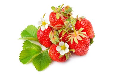 Çilek beyaz arkaplanda izole edildi.