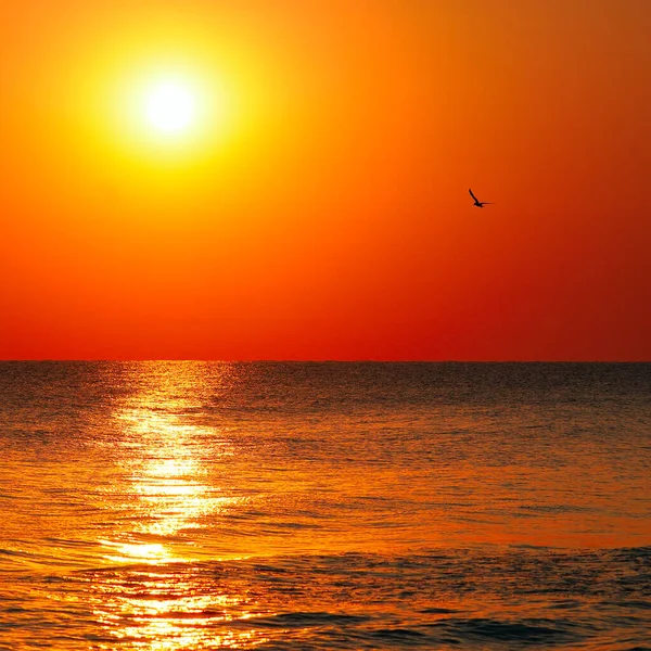 Strahlende Sonne Steigt Über Dem Meer Auf Das Konzept Heißt — Stockfoto