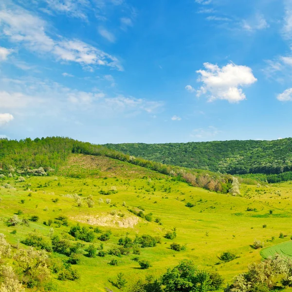 木や低木で丘陵の緑のフィールド 青空には綺麗な雲が — ストック写真