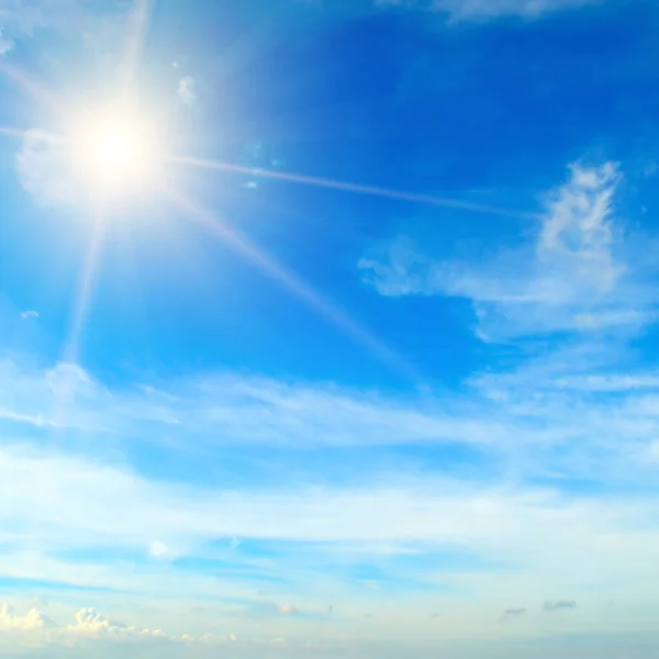 青い空の牛 明るい真昼の太陽が空間を照らす — ストック写真