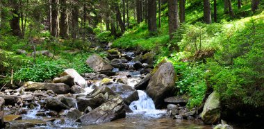 Dağlar, orman ve önünde bir nehir manzara. Güzel sahne. Geniş fotoğraf.