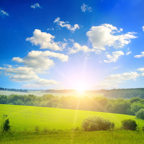 Зеленое Поле Голубое Небо Легкими Облаками Яркий Восход Солнца Над — стоковое фото