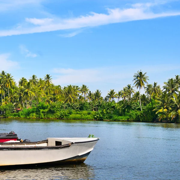 Picturesque tropical landscape. Lake, coconut palms and mangroves. Sri Lanka