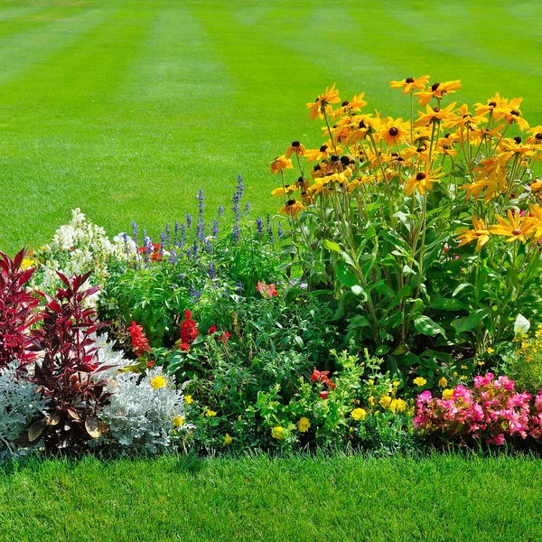 カラフルな花壇 緑豊かな芝生 巻き草の景色 — ストック写真