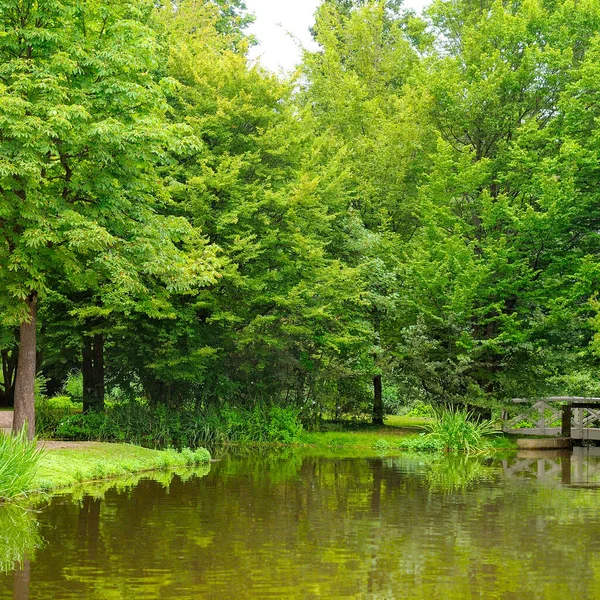 Scénická Jezera Letním Parku — Stock fotografie
