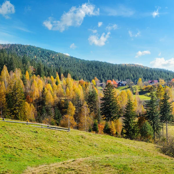 Mountain Autumn Landscape Colorful Forest — Stock Photo, Image