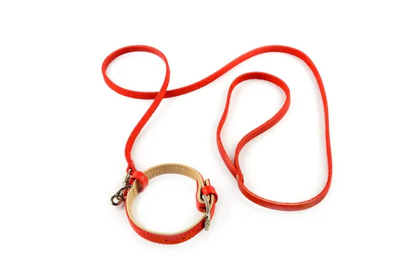 白い背景に隔離された赤い犬の紐と襟 — ストック写真