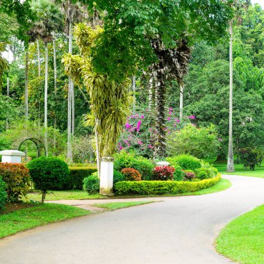 Güzel yeşil çimenleri olan bir yaz bahçesi. Konsept seyahat..