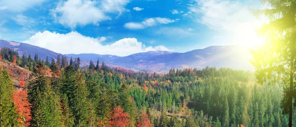Красивий Гірський Пейзаж Різнокольоровими Осінніми Лісами Яскравим Заходом Сонця Концепція — стокове фото