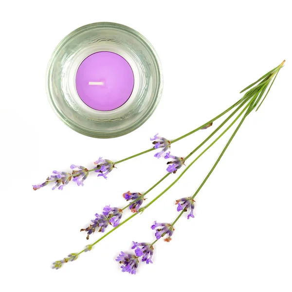 Lavendelkaars Met Verse Lavendel Geïsoleerd Witte Achtergrond — Stockfoto