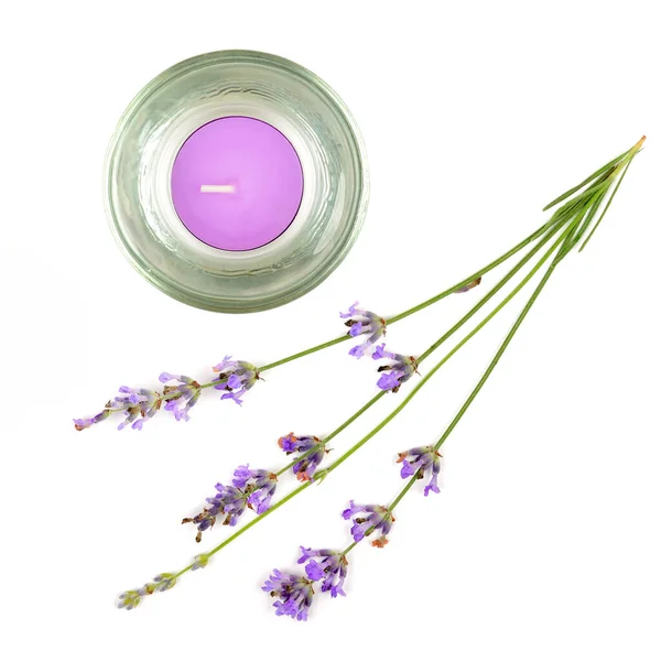 Vela Lavanda Con Lavanda Fresca Aislada Sobre Fondo Blanco — Foto de Stock