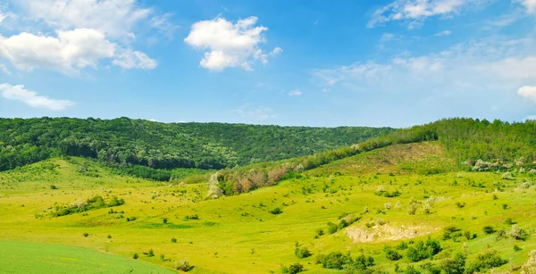 Hilly Green Fields Trees Shrubs Beautiful Clouds Blue Sky Wide — Stock Photo, Image