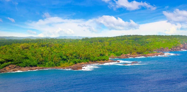 Zengin Mavi Tonlarda Deniz Pelerini Parlak Turkuaz Tropikal Bitki Örtüsü — Stok fotoğraf