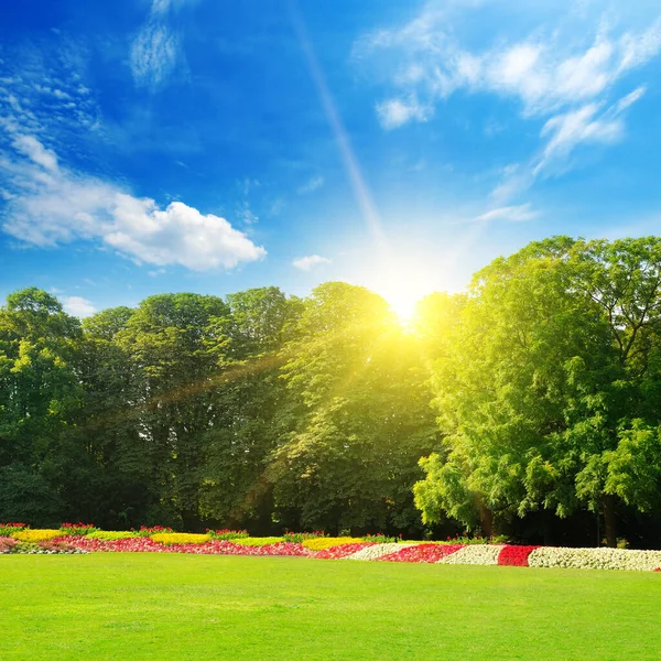 Vakker Sommerpark Med Lyse Blomstersenger Grønne Plener – stockfoto