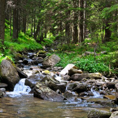 Dağları, ormanı ve nehri olan bir manzara. Güzel manzara..