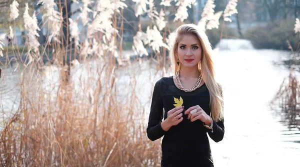 La ragazza e le foglie di autunno — Foto Stock