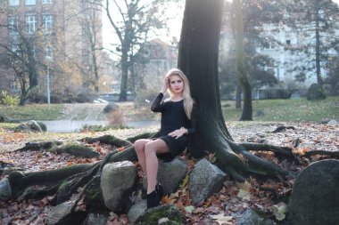 IRL ve sonbahar ağacı