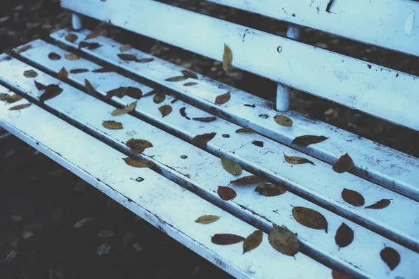 Φύλλα σε ένα παγκάκι — Φωτογραφία Αρχείου