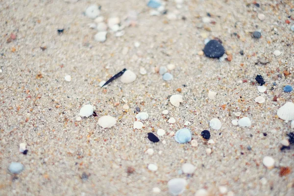 Mare Sabbia e conchiglie — Foto Stock