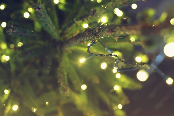 Luces Árbol Navidad Naturaleza Brillo Navidad — Foto de Stock