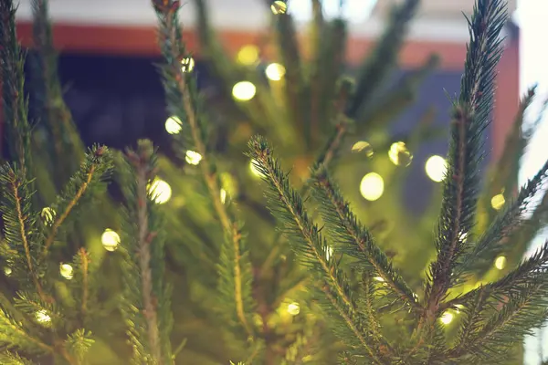 Lichter Und Weihnachtsbaum Natur Funkeln Weihnachten Stockfoto