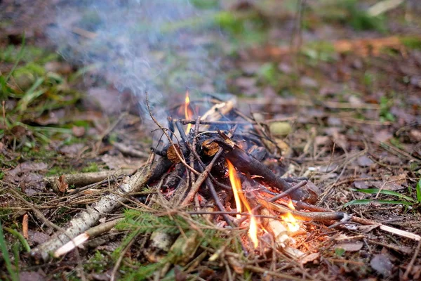 Ein Kleines Feuer Wald Brennen Freien Heiß Hitze Flamme lizenzfreie Stockfotos