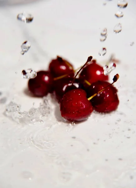 Cerise Aux Gouttes Eau Isolée — Photo