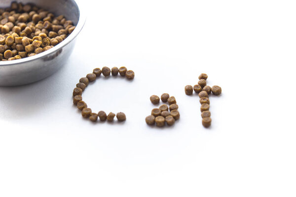 Написание кошки с сушеными кормами для домашних животных с чашей изолированы
