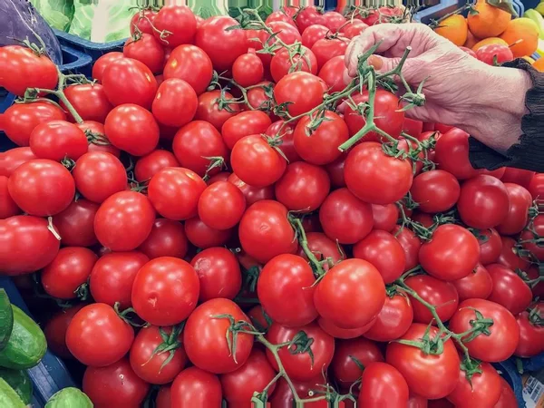 Mano Una Mujer Sosteniendo Tomates Frescos Puesto Mercado Cerca Fotografía — Foto de Stock