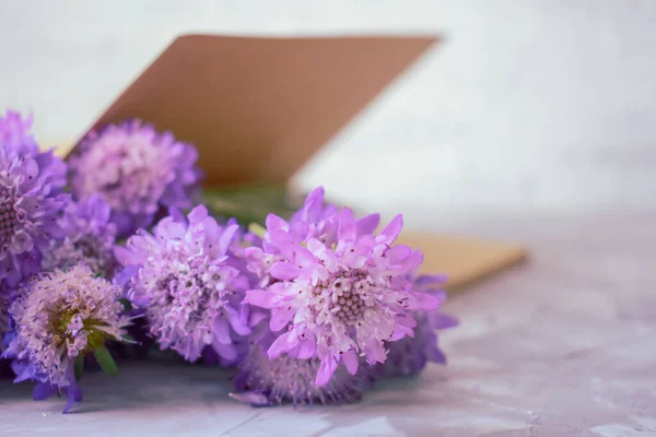 Flower and book on wooden Background