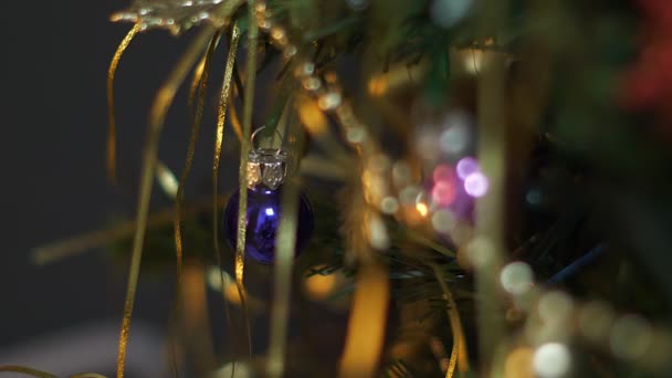 Luci Decorazioni Dell Albero Natale Dicembre — Video Stock